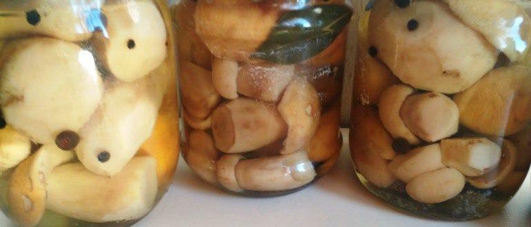 Какие грибы лучше всего подходят для рецептов на зиму