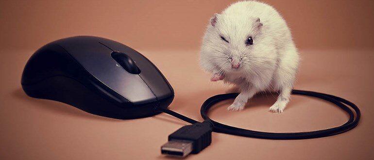 Обзор самых хороших лазерных мышей для компьютера