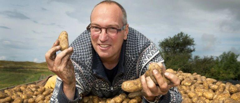 Обзор самых хороших сортов картошки