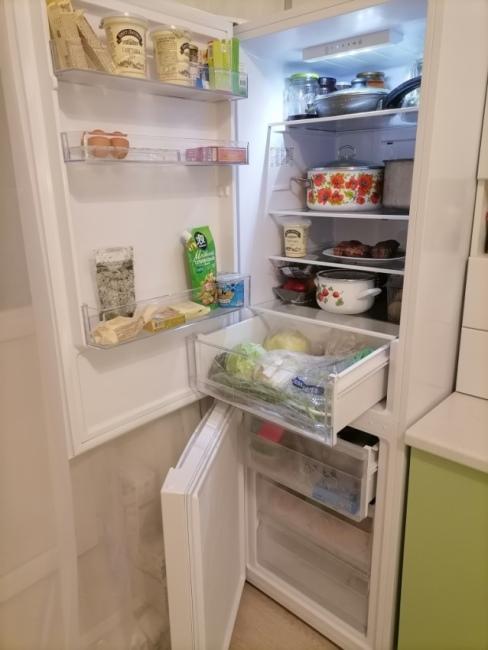 Холодильник Candy CCRN 6180W в работе
