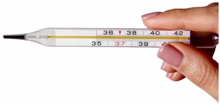 Классический ртутный термометр MERIDIAN медицинский зеленый фото